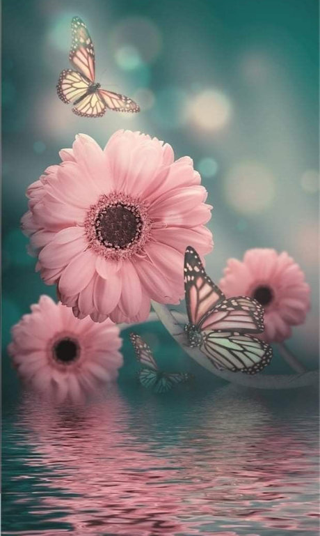 Eryka Ka h_ pornstar hot archive