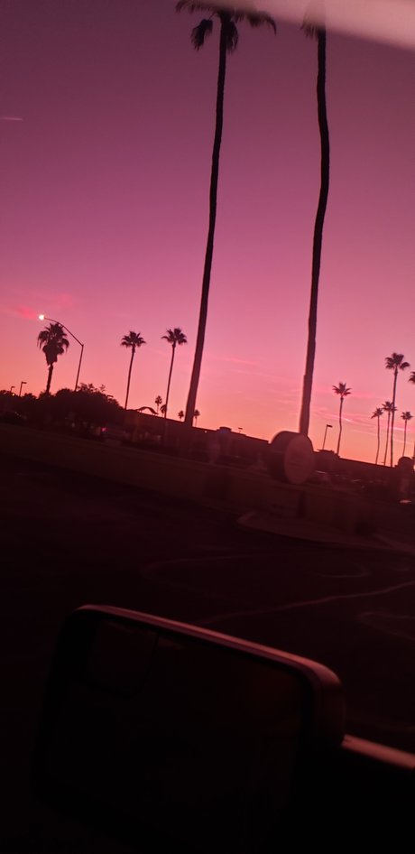 Bill Dill hot actress pictures