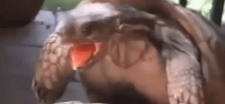 Chupacabra hot actress images