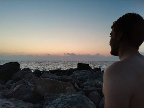 Hamtaro model free gallery