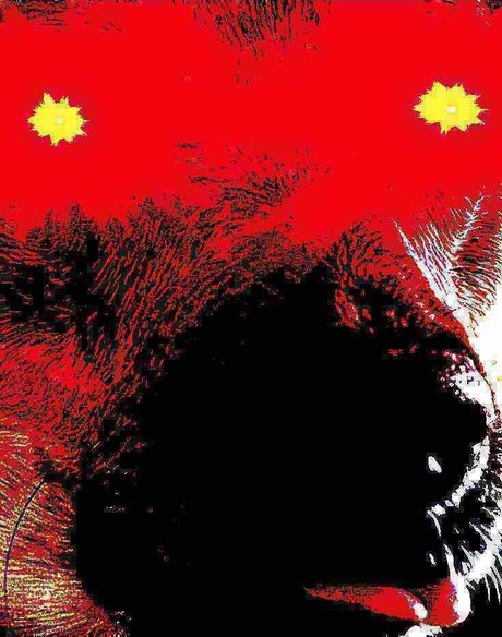 Redacted nice star photo