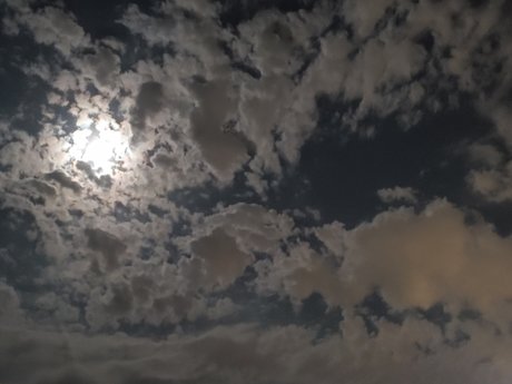 LittleD nice actress galleries