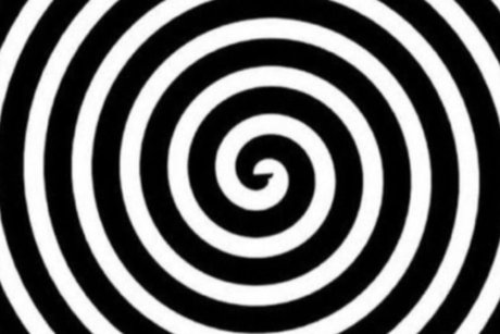 Hothoneypot high quality star archive