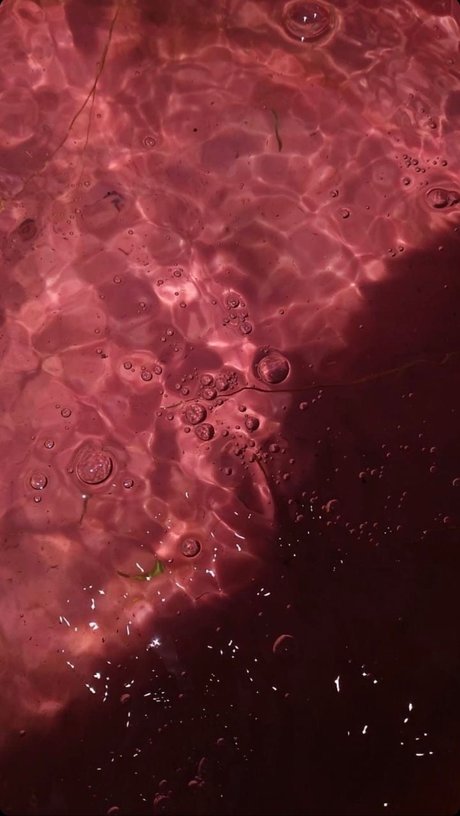 sex onlyfans perfect photo