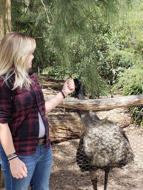 black lesbian onlyfans pornographic img