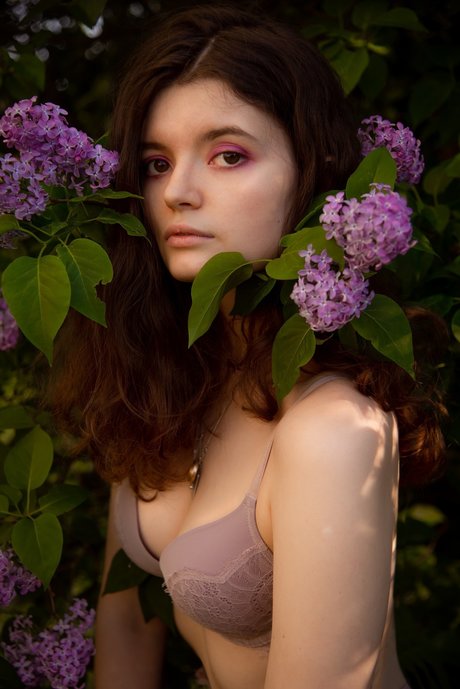 ShionSc best model images