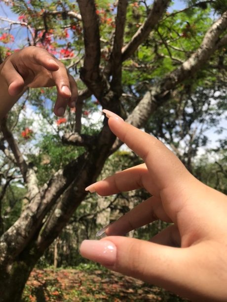 Totoro xxx actress gallery