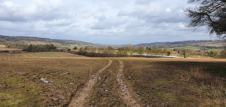 seduction onlyfans sex archive