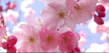 The Spider Queen star nude photo