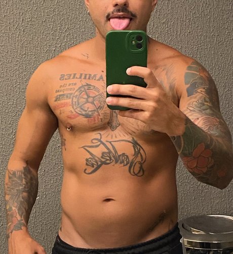 FeLL model nice image