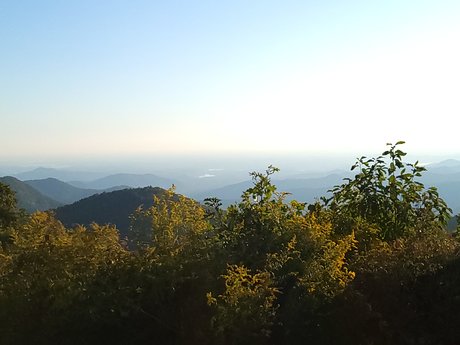 The Wild Fae model perfect gallery