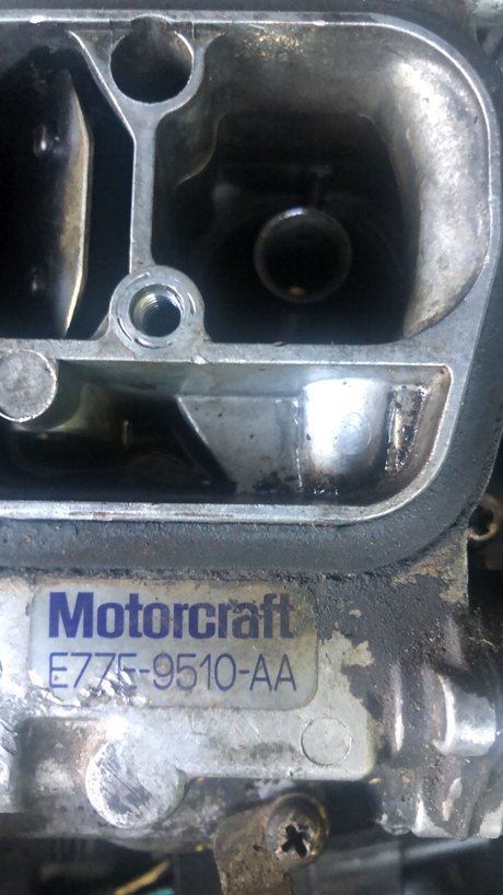 1998wranglerbeast free pornstar archive