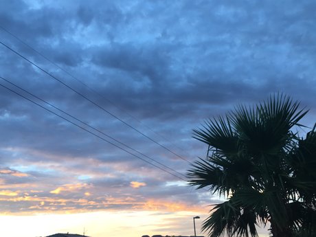 Rada Rada art star photo