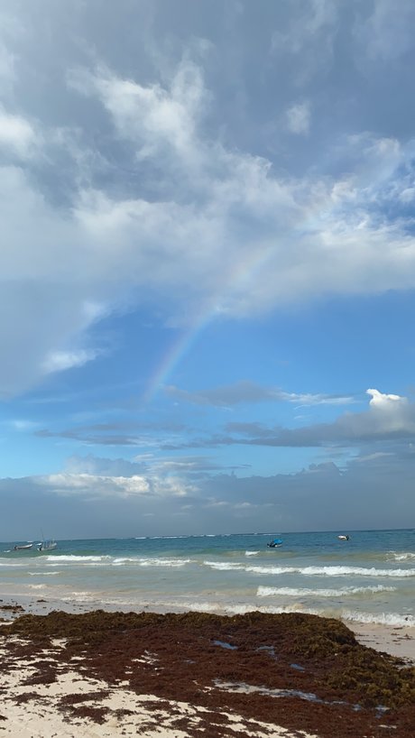 TRAIN WITH ALI model free image