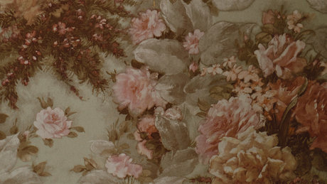 sydney shea star top image