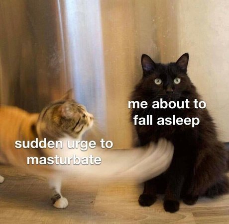 porn star onlyfans free sexy image