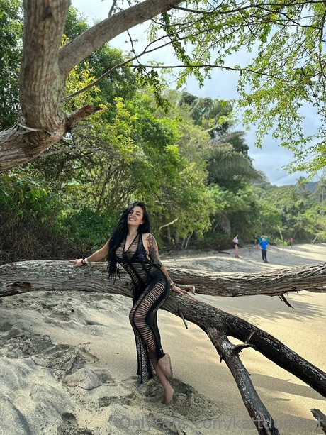 Kattdumont art star img