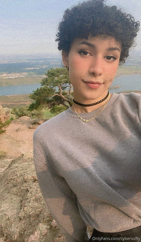 Cybersofty free model pics