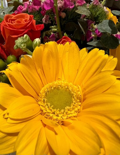 nurse jenna free hot star picture