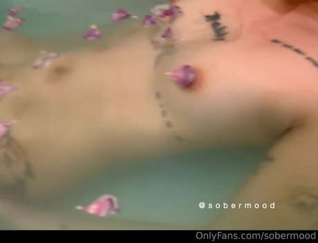 sobermood free pornstar galleries