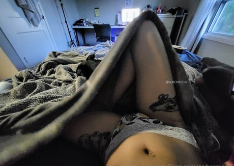 sobermood porn star galleries