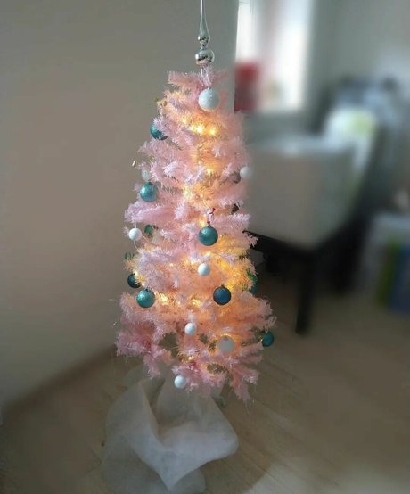 young onlyfans pornographic archive