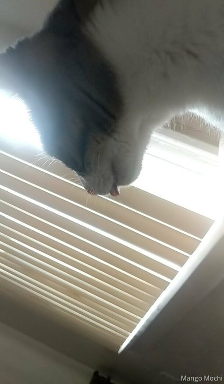 chubby nerd onlyfans pretty images