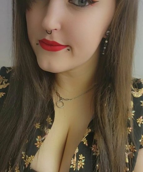 evrydayswdnsday star free images