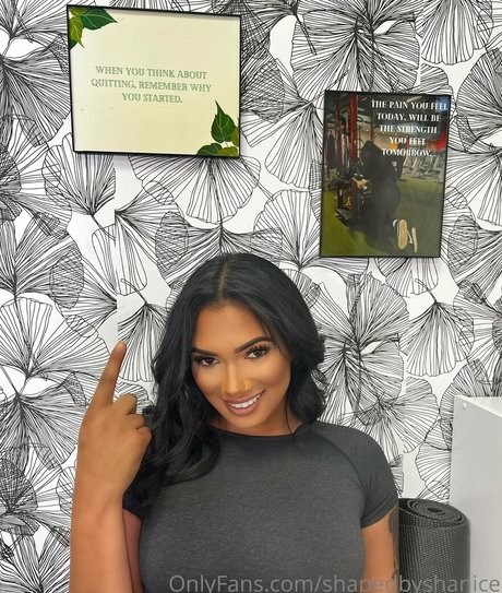 shapedbyshanice model art galleries