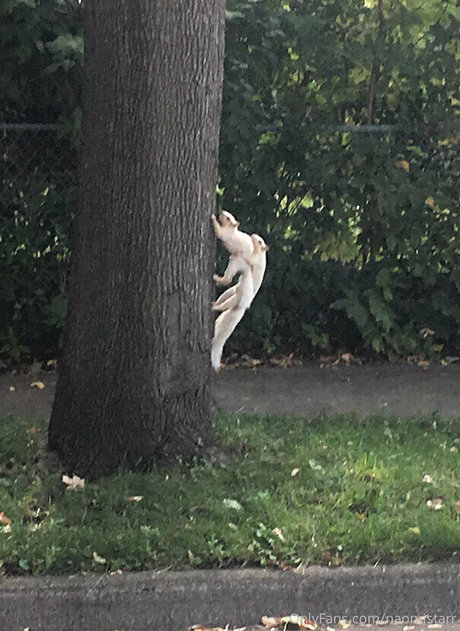 naomistarr hd pornstar gallery