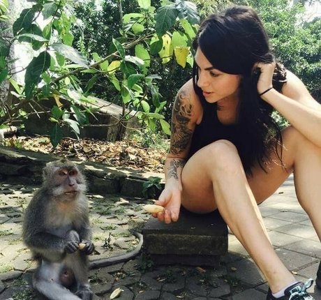 Krewella xxx star img