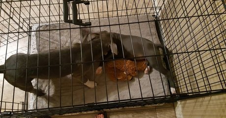 college girl onlyfans perfect photos