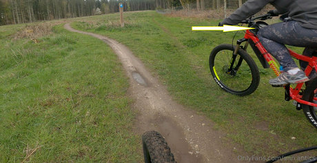 ann antics hd pornstar gallery