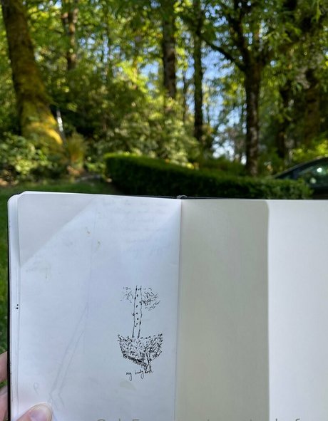 marstonhefner nude star galleries