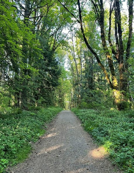 marstonhefner xxx model archive