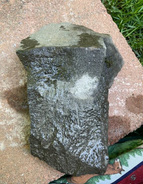 marstonhefner pornographic star pics