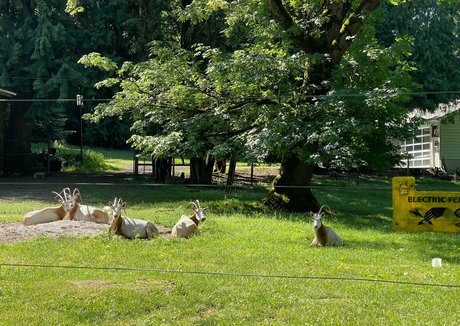 marstonhefner sex model galleries