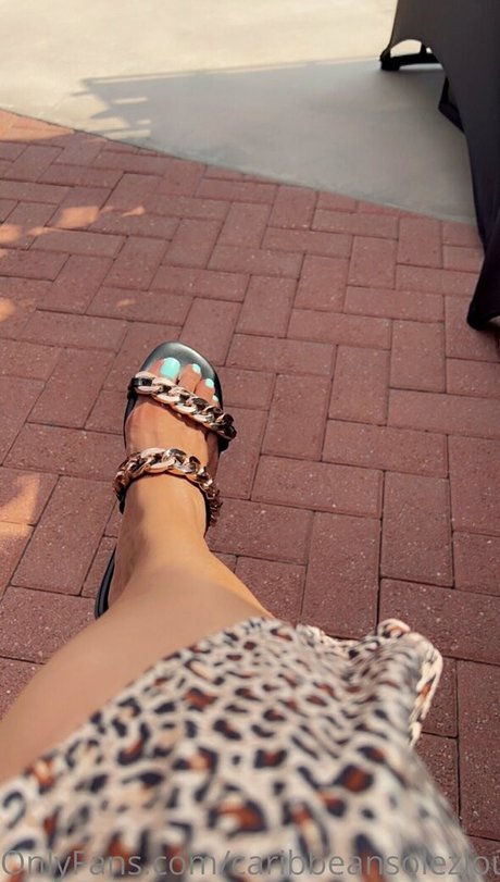 bbw anal onlyfans xxx photo