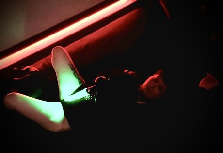 trashpanda4lyfeyo Profile