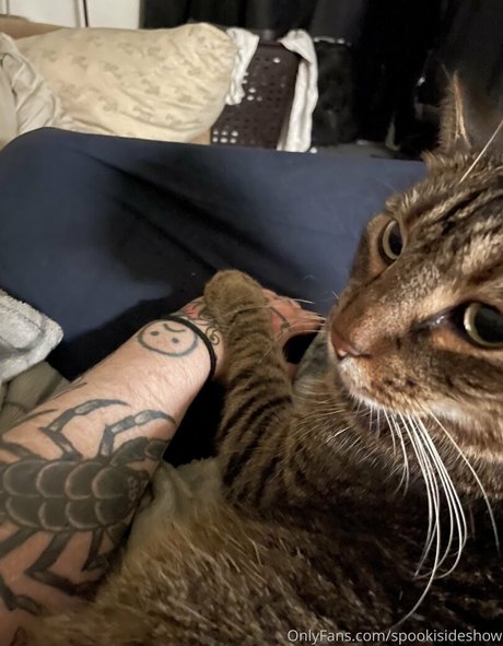 spookisideshow exclusive star gallery