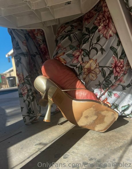 caribbeansolez star best archive