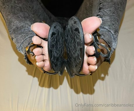 caribbeansolez star perfect archive