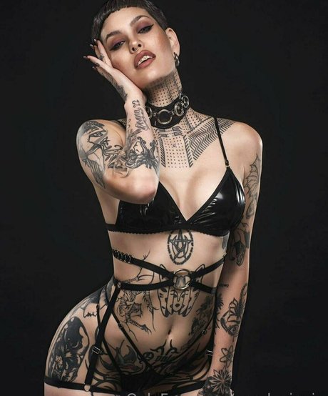 bbw tranny onlyfans xxx img