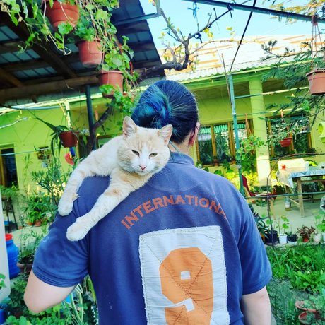 Roxana Grigora_ art pornstar gallery