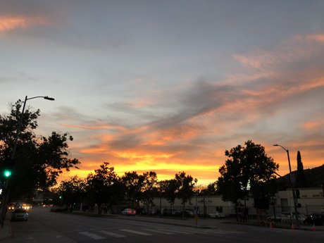 BeardedWizard star erotic images