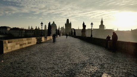 thewinterborn pornographic star img