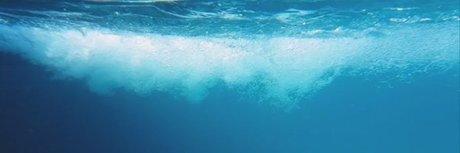 Thom XL model beautiful pics