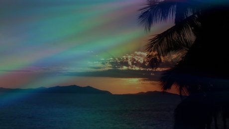 40 onlyfans free sexy photo