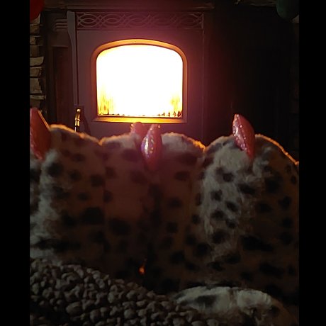 Toes R Us porn star images