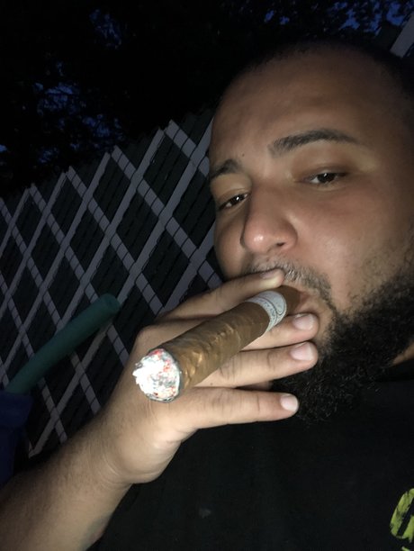 SICKO Will perfect model img